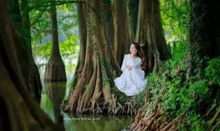 如果来生还能遇见你