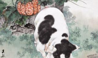 长长耳朵四条腿是什么生肖